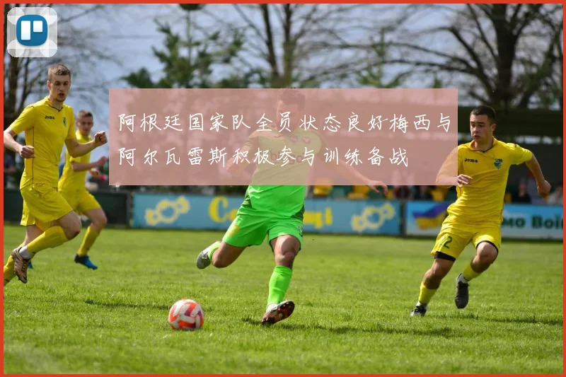 阿根廷国家队全员状态良好梅西与阿尔瓦雷斯积极参与训练备战
